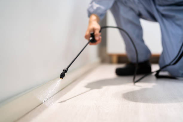 Licensed Mosquito Control service in Estill, SC - Show Me Pest Control