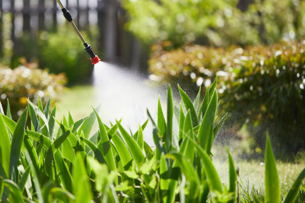 24/7 Emergency Mosquito Control experts in Estill, SC