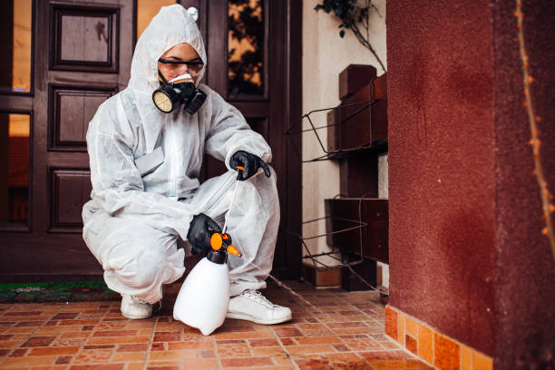 Reliable Mosquito Control contractor in Estill, SC by Show Me Pest Control
